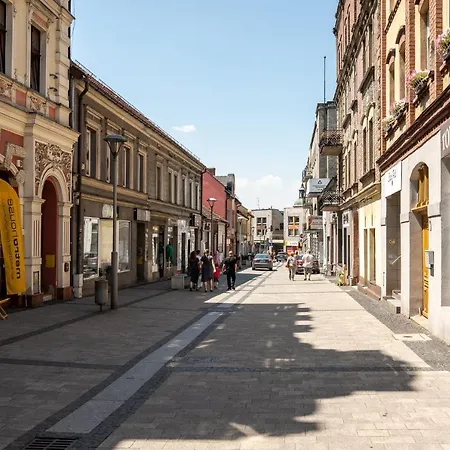 Platinum 8 リブニク