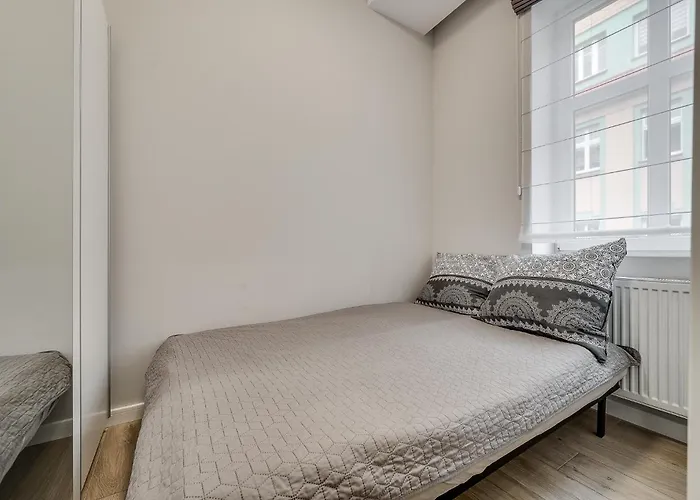 Platinum 8 ריבניק